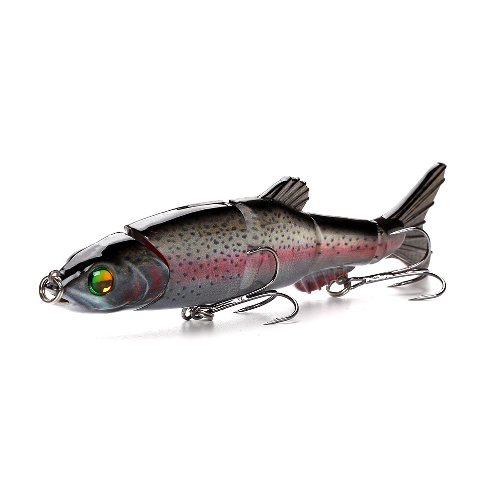 rainbow trout