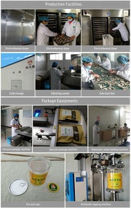 Nấm Đông Cô Cắt Lát Hữu Cơ Cắt Lát Nấm Đông Cô Sấy Khô Chất Lượng Cao - Product Image 5