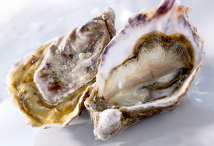 オイスターシェルパウダー - Product Image 3