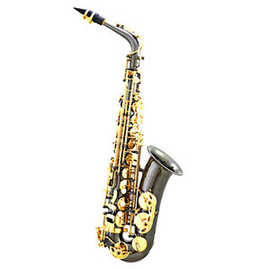 Kèn Alto/Soprano/Tenor/Baritone Trung Quốc - Product Image 6