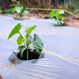 <span class=keywords><strong>ฟิล์ม</strong></span>คลุมดินสะท้อนแสงสีเงินสีดำ30ไมครอนสตรอเบอรี่คลุมดินป้องกันวัชพืชคลุมด้วยหญ้าชั้นพลาสติก100% <span class=keywords><strong>ใหม่</strong></span> - Product Image 3