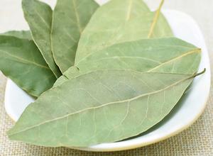 Feuilles entières de <span class=keywords><strong>Laurier</strong></span> noble séchées naturelles pour épice naturelle - Product Image 6