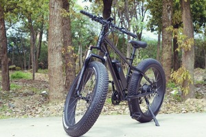 Alta Velocidad neumático bicicleta eléctrica con CE aprobó ciclo elektrokolo elcyklar <span class=keywords><strong>elcykel</strong></span> - Product Image 3