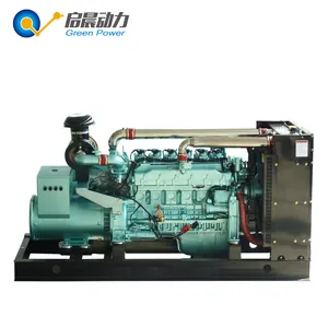 Gas Power Generator Turbine Generator Biogas/Natural Gas/LPG/Propane Generator 10kw 20kw