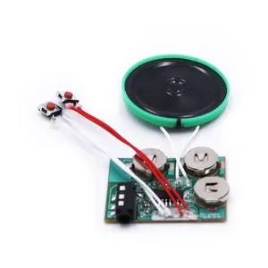 Customize Sound Module AUX Sound Chip High Qualtity Recordable Audio Chip Play Voice Sound Module