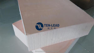 Schede pf altri materiali per l'isolamento termico isolamento termico in schiuma TENLEAD FUJ supporto tecnico Online - Product Image 6