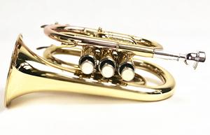 <span class=keywords><strong>Tipos</strong></span> <span class=keywords><strong>de</strong></span> Trompeta <span class=keywords><strong>de</strong></span> Bolsillo - Product Image 2
