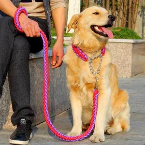 Coleira resistente de nylon para cães, conjunto de corda de cor dupla com coleira forte