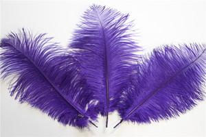 14 "-16" Al Por Mayor de la Tela Púrpura de Plumas de Avestruz Para la Decoración de Plumas de Avestruz Fan - Product Image 4
