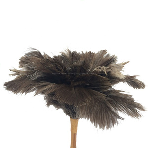 ESD magia mango de bambú de plumas de avestruz plumero para <span class=keywords><strong>la</strong></span> limpieza - Product Image 3