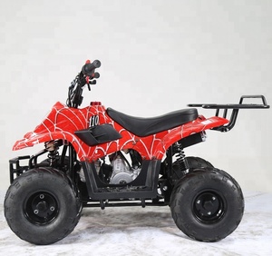 <span class=keywords><strong>Quad</strong></span> Tao Motor BOULDER 110cc à 4 roues, transmission par chaîne, homologué EPA ECE, idéal pour la course et l'agriculture - Product Image 3