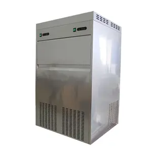 Thương Mại Mini Portable Lab Snow Flake Ice Maker 3 Tấn 300Kg Máy Cho Ngành Công Nghiệp Đánh Cá