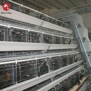 Best price low cost chicken cages for laying hens