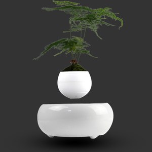 Establecer su envío en medio del aire de aire mágico <span class=keywords><strong>bonsai</strong></span> plantas ornamentales - Product Image 4