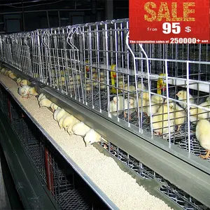 Automatic Vertical chicken layer cage