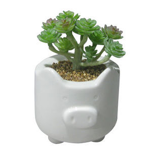 <span class=keywords><strong>Amazon</strong></span> Offre Spéciale mini succulentes en céramique pots <span class=keywords><strong>de</strong></span> fleurs pour décor <span class=keywords><strong>de</strong></span> table - Product Image 1