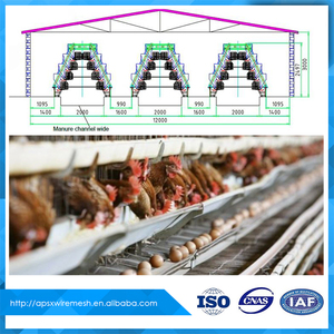 <span class=keywords><strong>Venta</strong></span> casa de granja de aves de corral <span class=keywords><strong>en</strong></span> jaulas <span class=keywords><strong>en</strong></span> batería para gallinas <span class=keywords><strong>en</strong></span> dubai - Product Image 4