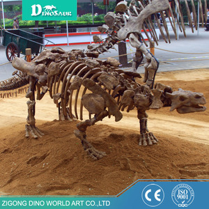 Bộ Xương T-REX Của Khủng Long Nhựa Bảo Tàng Khủng Long - Product Image 2