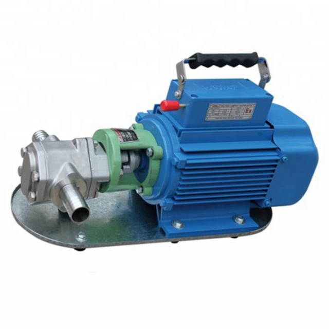 Portable WCB Ss304 Stainless Steel Gear Oil Transfer Pump with Explosion Proof Motor