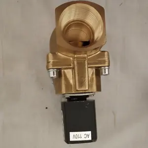 1089-0702-13 1089070213 סולנואיד valve 110V 50HZ 4W סולנואיד Valve 220V 24V 110V - Product Image 1