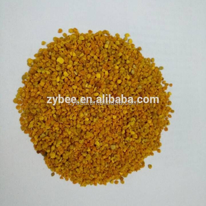 Hỗn hợp hướng dương phấn hoa ong/hỗn hợp Ngô phấn hoa ong/chất lượng tốt phấn hoa ong - Product Image 2