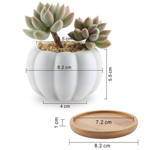 Maceta de cerámica <span class=keywords><strong>con</strong></span> bandeja de bambú para <span class=keywords><strong>suculentas</strong></span>, diseño de calabaza moderno - Product Image 4
