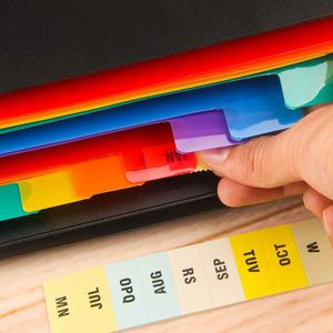 Bán Buôn Văn Phòng Thuyết Trình Bìa Cứng A4 Kích Thước Giấy Treo Nhựa Mở Rộng Tập Tin Thư Mục - Product Image 5