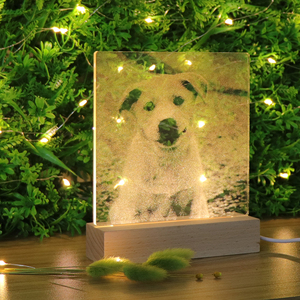 Tùy Chỉnh Gỗ Cơ Sở Cho Acrylic 3D <span class=keywords><strong>LED</strong></span> Night Light Động Vật - Product Image 5