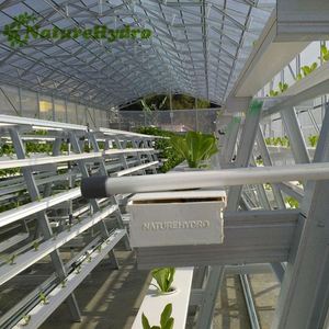 Fabrik liefert Hidroponik Nft Erdbeer produktion Hydro ponik - Product Image 4
