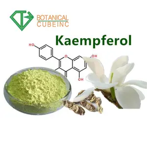 مسحوق مستخلص kaempferia غالانغا (rhizoma kaempferiae), مستخلص مسحوق kaempferol ، مكمل cas:520-18-3 عالي الجودة