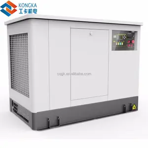 15kw 18kva 19kva Fabricante de China Seguridad Alta Eficiencia Silent LPG NG Generador de gas