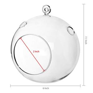 Fatto a mano Vaso di Vetro Trasparente Appeso Piante Terrario di Vetro del Display Da Tavolo Succulente Impianto di Aria Fioriera Globo - Product Image 4