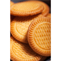 Sanniu Croustillant Saveur de lait de coco Craquelins sucrés Biscuits Collations en gros Biscuit Maker Cuisine chinoise Collations exotiques saines