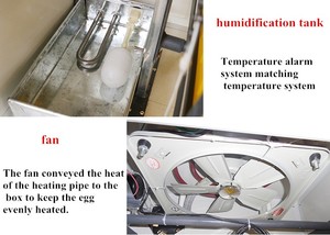 Инкубатор для перепелов <span class=keywords><strong>3000</strong></span> - Product Image 5