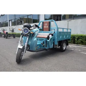 Hot Sale Menggunakan 110cc 150cc 3 Motor Tiga Roda Sepeda Roda Tiga untuk dan Toko Buah Sayur atau Cahaya Transportasi