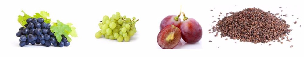 Organic Grape Seed Extract Proanthocyanidin Powder 95% OPC 1