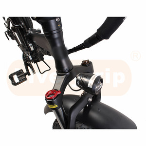 Israele 20 pollici grasso ragazzo pieno di sospensione pieghevole bici elettrica - Product Image 3