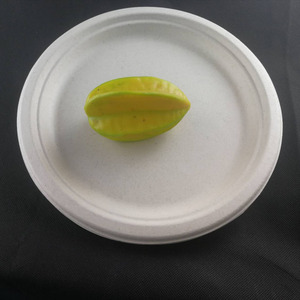 eco-friendly biodegradable fast food plate microwavable
