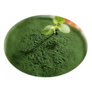 Ustensile pour oires alimentaires, poudre de spiniline, 60% de protéine, vente en gros - Product Image 1