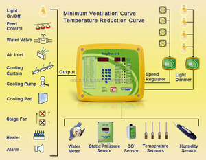 Hazır Satış Otomatik Broiler Tavuk Çiftliği için mekanik Ekipman ve Tavuk - Product Image 3