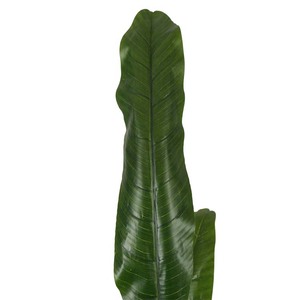 บอนไซตกแต่งสีสันสดใสและสัมผัสได้สมจริงต้นกล้วยประดิษฐ์ <span class=keywords><strong>Musa</strong></span> <span class=keywords><strong>Basjoo</strong></span> - Product Image 2