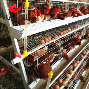 Poulailler en métal à 3 niveaux pour poules Prix - Product Image 4