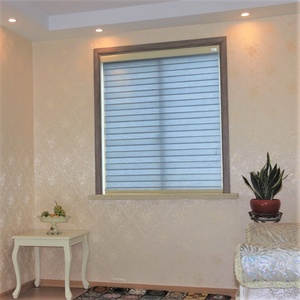 Indoor Home Center Wind dichte Jalousie Horizontal Fenster Blackout Rollos Zebra Shades Stoff