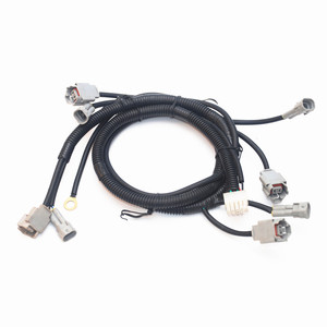 OEM ODM otomotiv teli koşum özelleştirmek 2 Pin kablo tel düzeneği üreticisi - Product Image 1