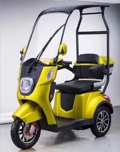 500 Вт Электрический мобильный пассажирский скутер с дождевой крышей