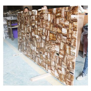 Panneau de revêtement mural pour villa, prix d'usine, dalle de bois pétrifié brun naturel massif, pierre fossile à vendre - Product Image 1