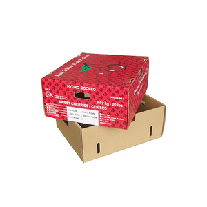 Giá Rẻ Đầy Đủ In Các Tông Sóng Hộp Carton Trái Cây - Product Image 2