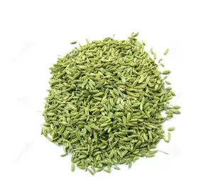 Pure dried natural bulk green color new clean Foeniculum officinale seeds organic spice for sale