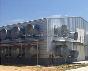 Steel Frame Type and Steel Material metal poultry shed/galvanized chicken equipments shed /chicken house shed
