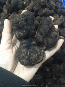 Detan congelados comprador negro <span class=keywords><strong>trufa</strong></span> <span class=keywords><strong>hongo</strong></span> - Product Image 2